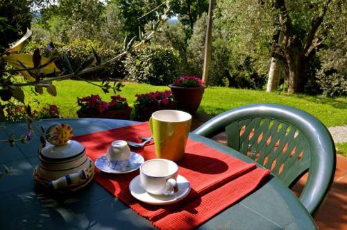 Agroturismo Agriturismo Fonte Di Foiano