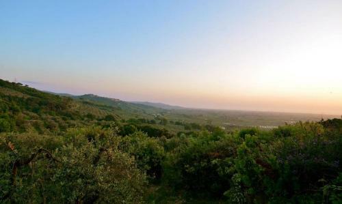 Agroturismo Agriturismo Fonte Di Foiano