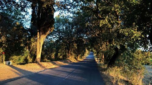 Agroturismo Agriturismo Fonte Di Foiano