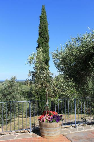 Agroturismo Agriturismo Fonte Di Foiano