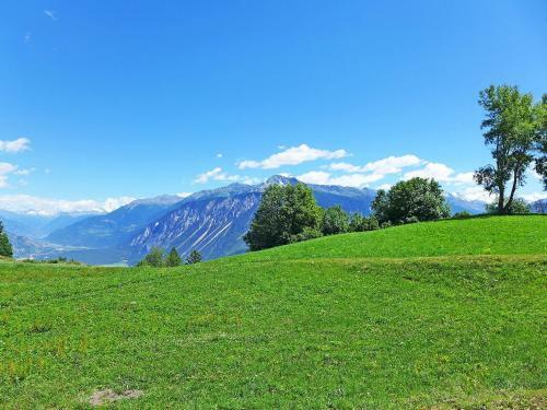Holiday Home Bredius Crans-montana