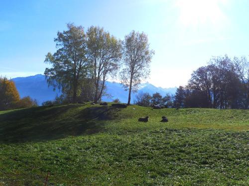 Holiday Home Bredius Crans-montana