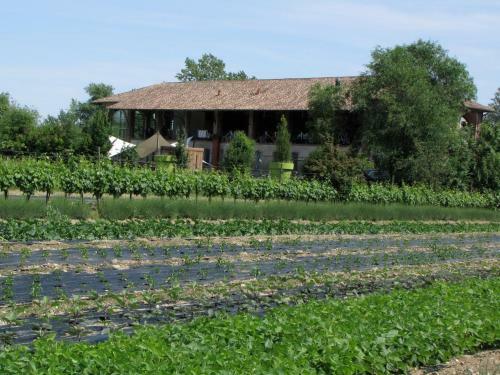 Agroturismo Agriturismo Cascina Caremma