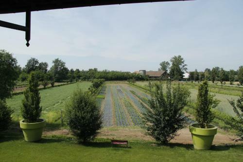 Agroturismo Agriturismo Cascina Caremma