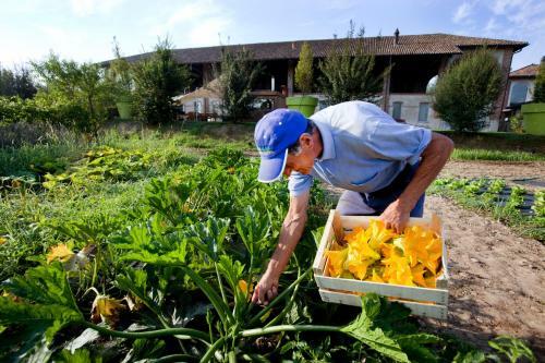 Agroturismo Agriturismo Cascina Caremma