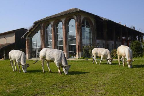Agroturismo Agriturismo Cascina Caremma