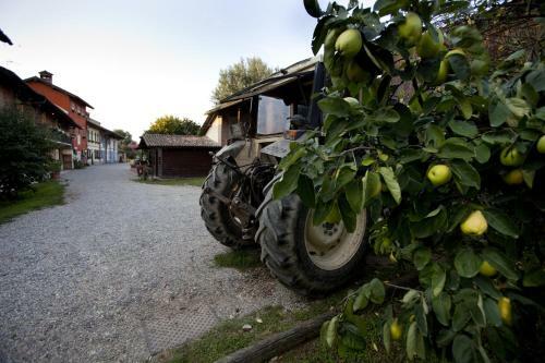 Agroturismo Agriturismo Cascina Caremma