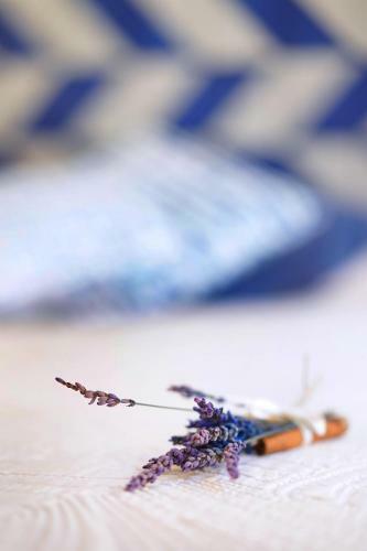 Lo Scoglio Della Formica B&B