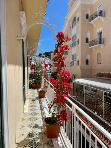 Apartamento Camerelle 7, Domus Letteraria