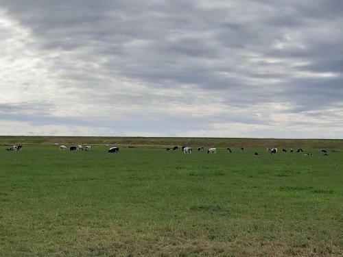 Agroturismo Iefjeshoeve