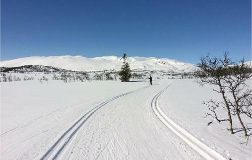 Three-bedroom Holiday Home In Rauland