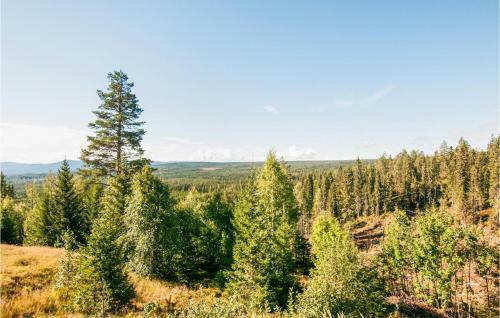 Amazing Home In Rena With Sauna And 4 Bedrooms