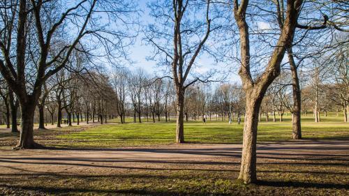 Apartment Elisenbergveien