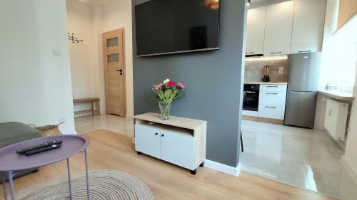 Apartament Przy Amfiteatrze