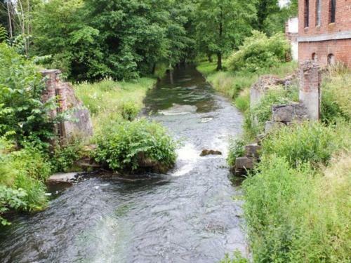 Agroturystyka Dolina Korytnicy