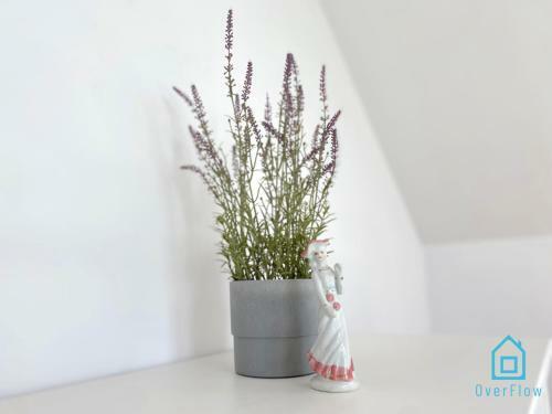 Loft Apartment - Ca?oroczny Apartament Nad Jeziorem Kamie?