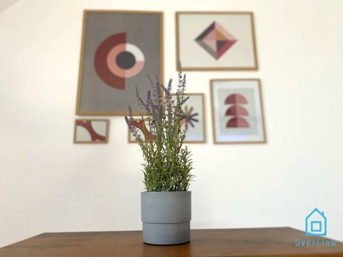 Loft Apartment - Ca?oroczny Apartament Nad Jeziorem Kamie?