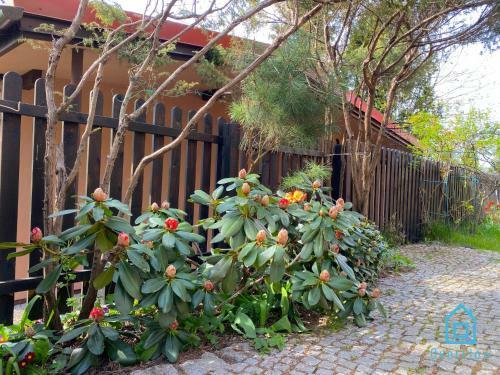 Loft Apartment - Ca?oroczny Apartament Nad Jeziorem Kamie?