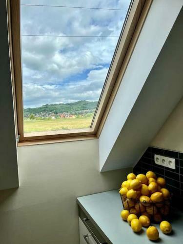 Apartament Hemingwaya
