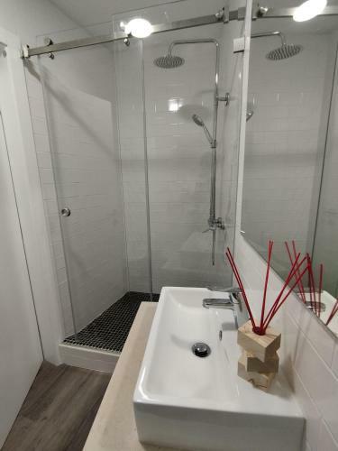 Apartamento Casa Giraldo Sem Pavor