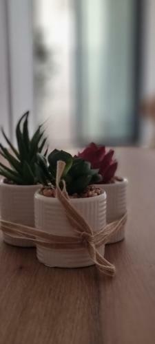 Apartamento Nena Residence