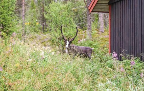 Three-bedroom Holiday Home In Lofsdalen