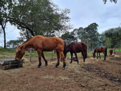 Finca Los Rosales