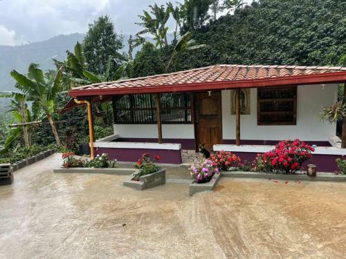 Finca De Caf� La Guadalupe, Casa De Campo Jard�n