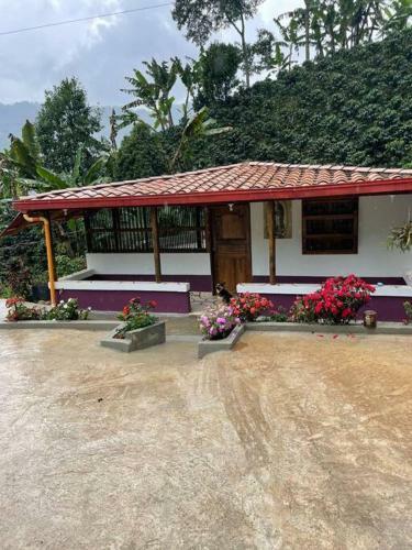 Finca De Caf� La Guadalupe, Casa De Campo Jard�n