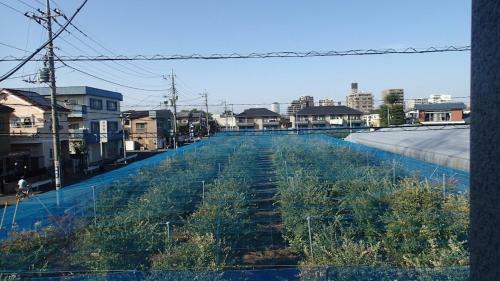 Sokashi Hikawacho Guest House - Vacation Stay 12977