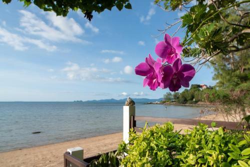 Villa Lily Beach Front