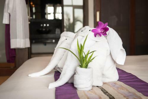 Villa Lily Beach Front
