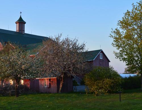 The Eddie Hotel And Farm