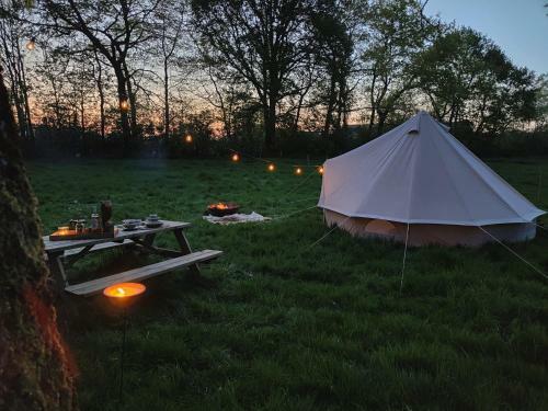 Enter The Woods - Pop-up Glamping