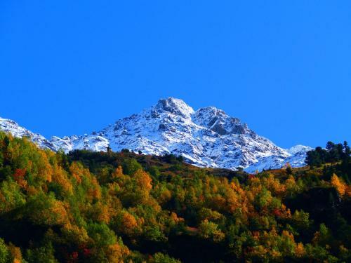 Apartamento Starla 4