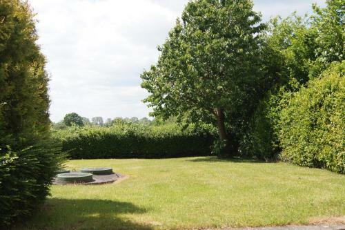 Vogel Dahmesh�ved 21 A