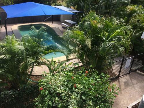 Motel Tropical Palms Inn Resort