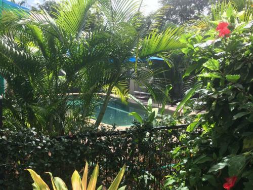 Motel Tropical Palms Inn Resort