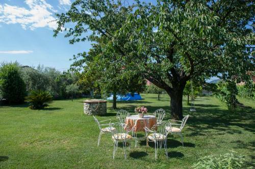 Apartamento Nel Giardino Degli Ulivi