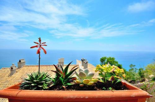 Casa De Dise�o Con Piscina Y Preciosas Vistas Al Mar
