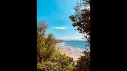 Biarritz Centre Superb Fully Equipped Apartment