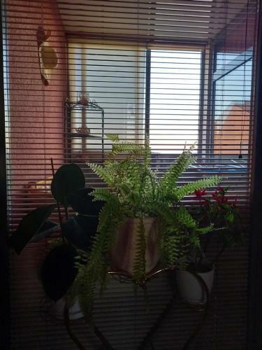 Apartamento Rab Centar Due