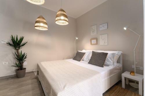Hostal Premium Holiday House 9