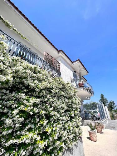 Apartamento Saul&mary