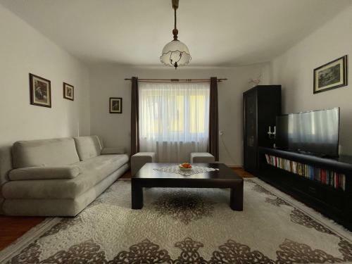 Hostal Pensiunea Nechita