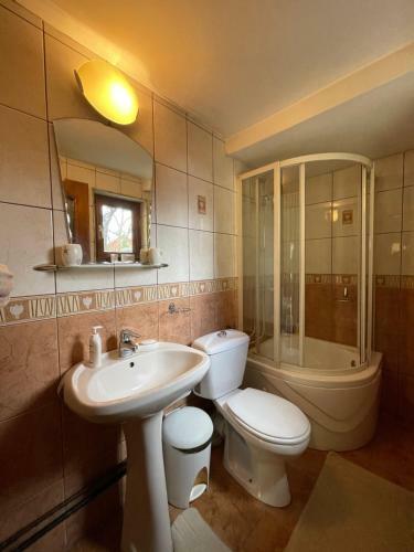 Hostal Pensiunea Nechita