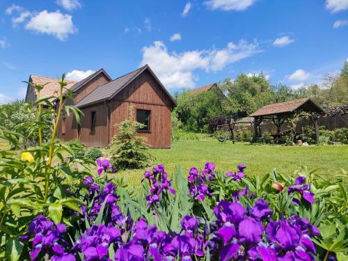 Organicle Lodge