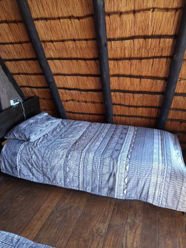 Apartamento Ifenwenzi Bush Chalet