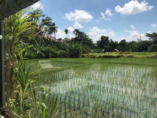 Amazing Villa Bali Belle Vie