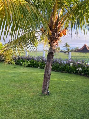 Bed & Breakfast Villa Karma Kama